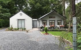 't eekhoorntje